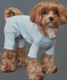 4537683