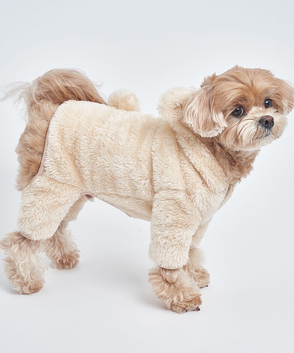 도그아이(DOGI) 강아지 곰후드 올인원 베이지