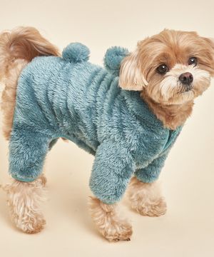 강아지 곰후드 올인원 딥그린