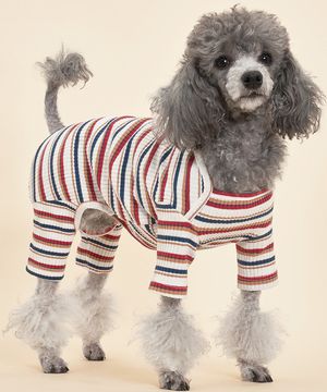 강아지 믹스 골지 올인원 레드