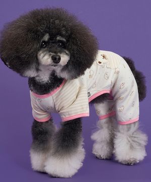 강아지 보들보들 순면 올인원 분홍색