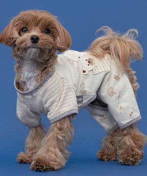 강아지 보들보들 순면 올인원 회색