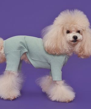 강아지 파스텔 골지 올인원 민트