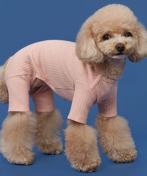 강아지 파스텔 골지 올인원 핑크