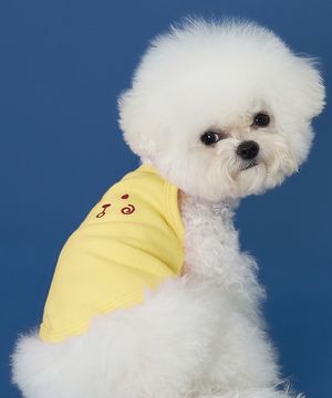 강아지 곰돌이 나시티 옐로우