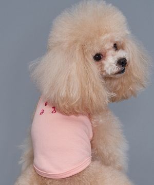 강아지 곰돌이 나시티 핑크