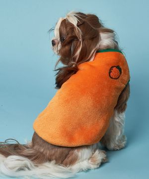 강아지 후르츠 베스트 당근