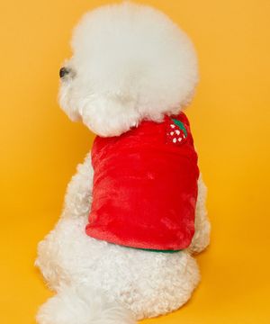 강아지 후르츠 베스트 딸기