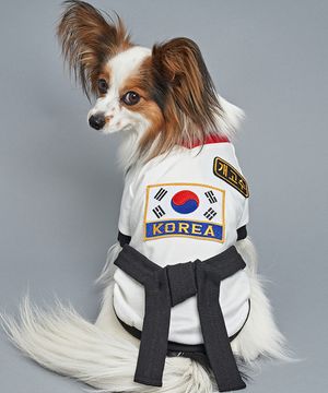 강아지 코스튬 태권도복 검정띠