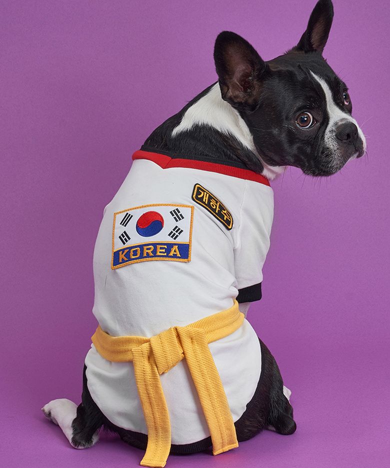 강아지 코스튬 태권도복 노랑띠