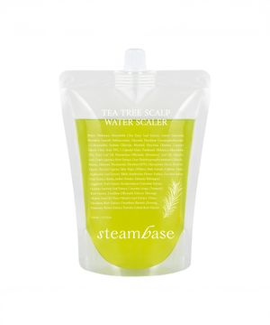 정수리 냄새 고민해결 두피각질 티트리 스케일러 리필 500ml