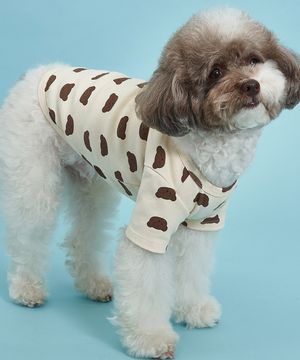 강아지 베어베어 티셔츠 S-5XL 아이보리