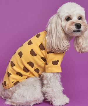 강아지 베어베어 티셔츠 S-5XL 옐로우