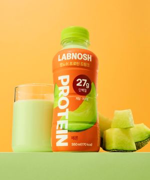 프로틴 드링크 메론 350ml (24개입)