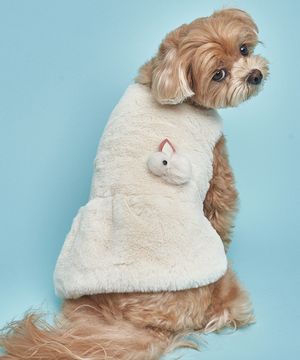 강아지 렉스퍼 원피스 아이보리