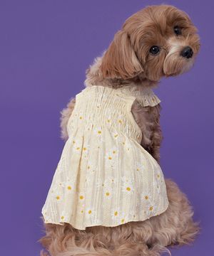 강아지 러블리 원피스 옐로우
