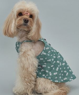 강아지 국화 원피스 그린