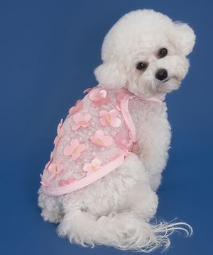 강아지 나비 메쉬 티셔츠 핑크