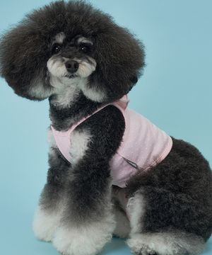 강아지 도트 크롭티 핑크