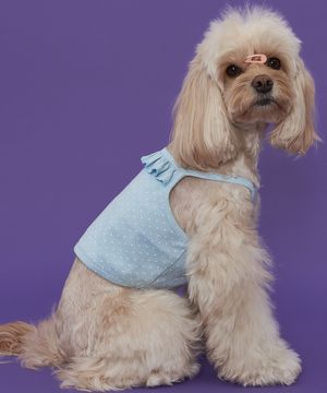 강아지 도트 크롭티 블루