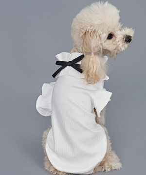 강아지 리본 프릴티 화이트