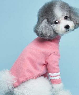 강아지 베이직 투라인 티셔츠 핑크