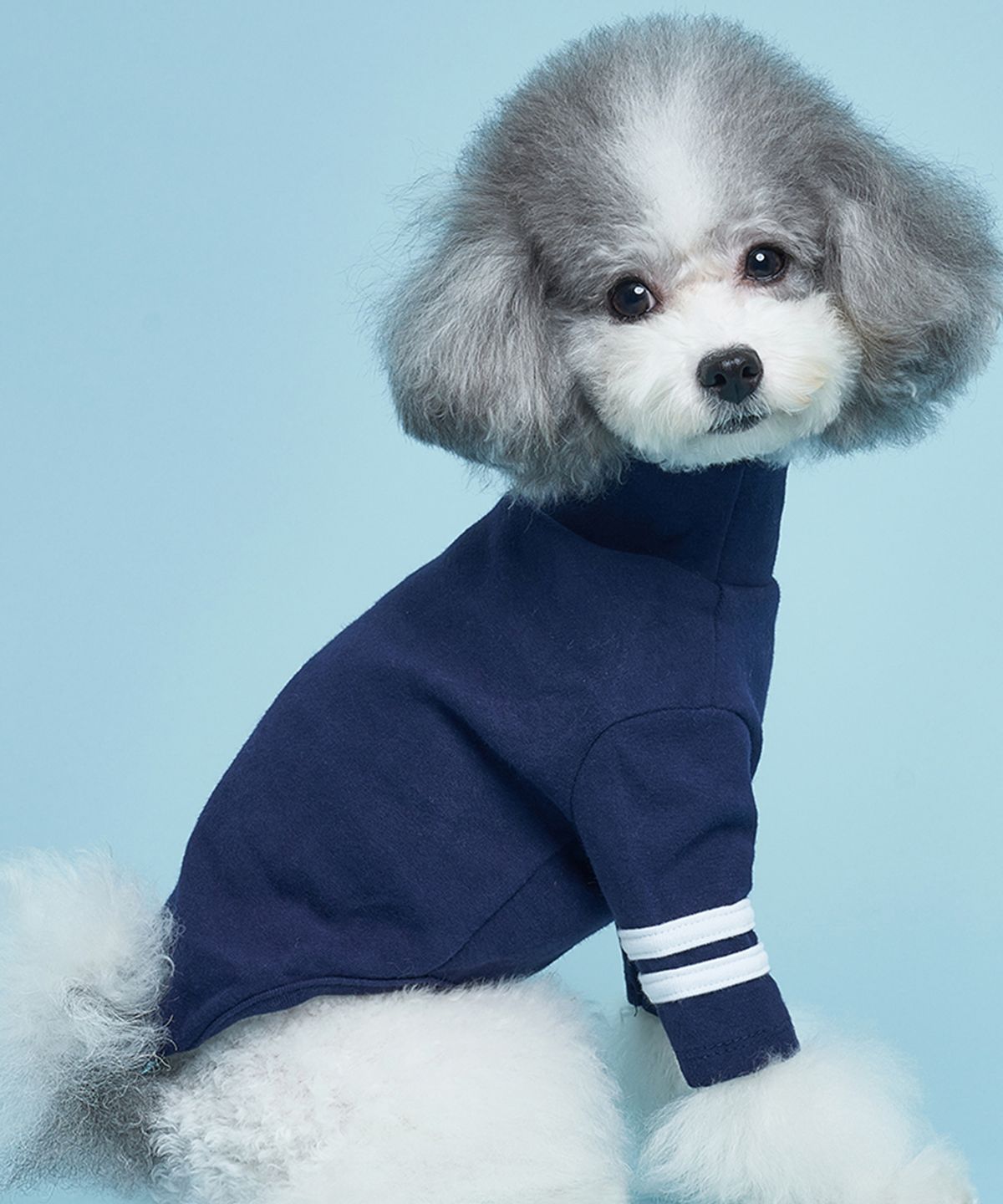 도그아이(DOGI) 강아지 베이직 투라인 티셔츠 네이비