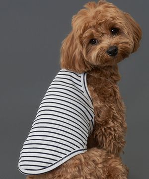 강아지 스트라이프 나시 네이비