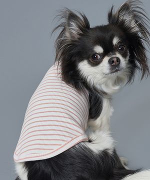 강아지 스트라이프 나시 핑크