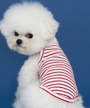 강아지 스트라이프 나시 레드