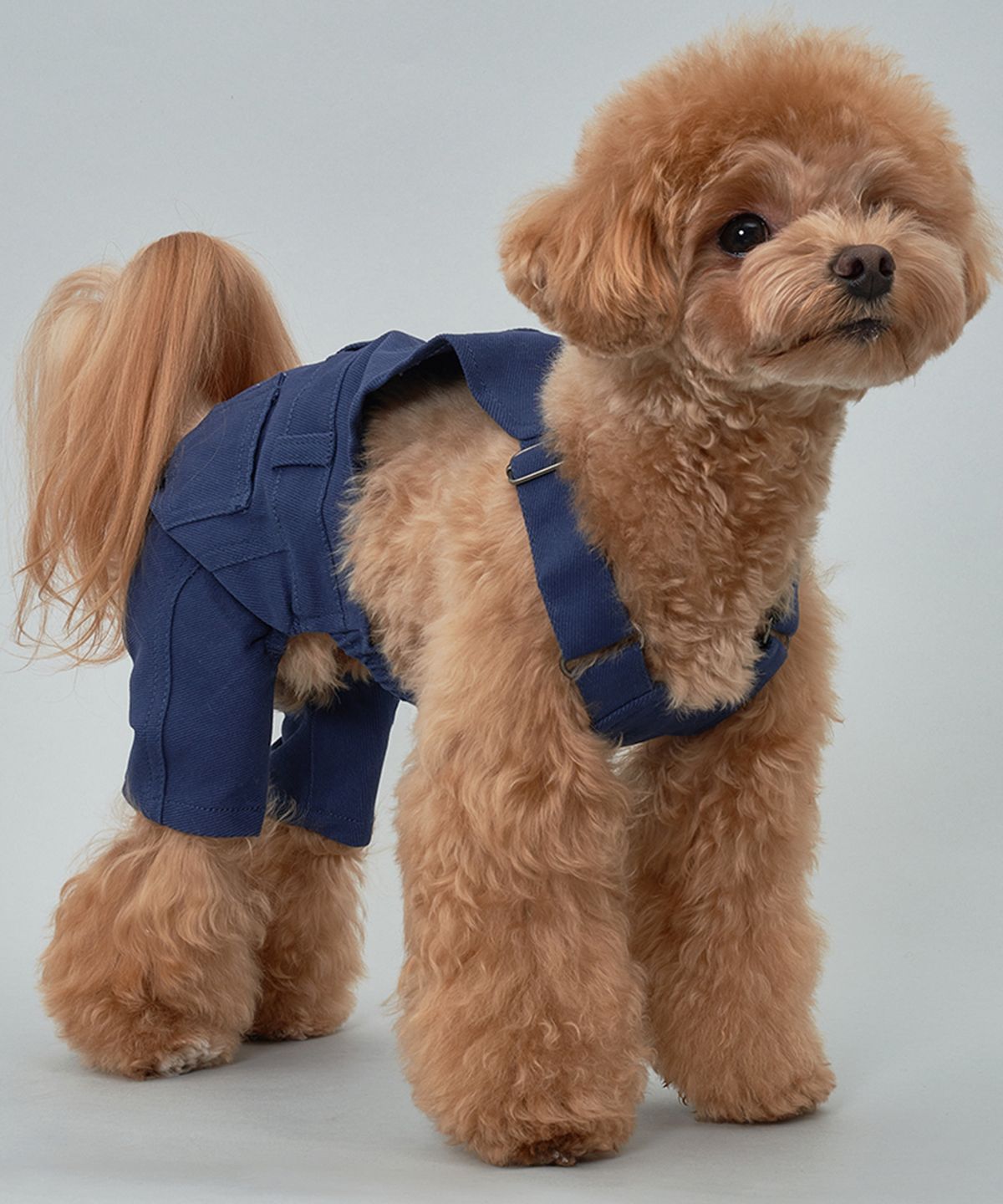 도그아이(DOGI) 강아지 베이직 코튼팬츠 네이비
