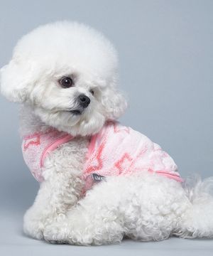 강아지 별수면 조끼 핑크