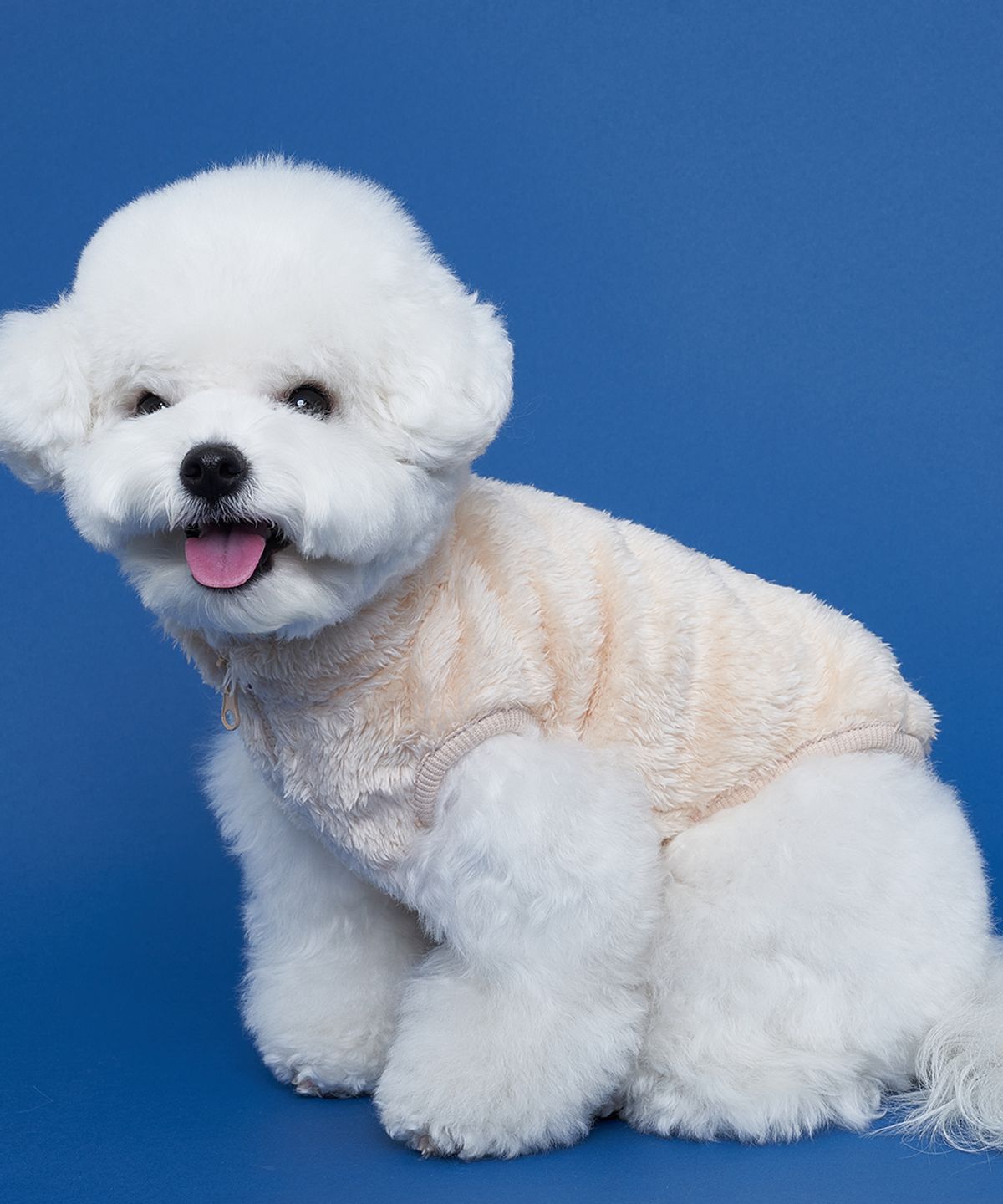 도그아이(DOGI) 강아지 보아 후리스 아이보리
