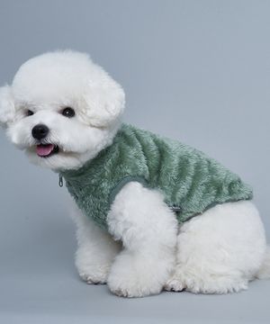 강아지 보아 후리스 그린