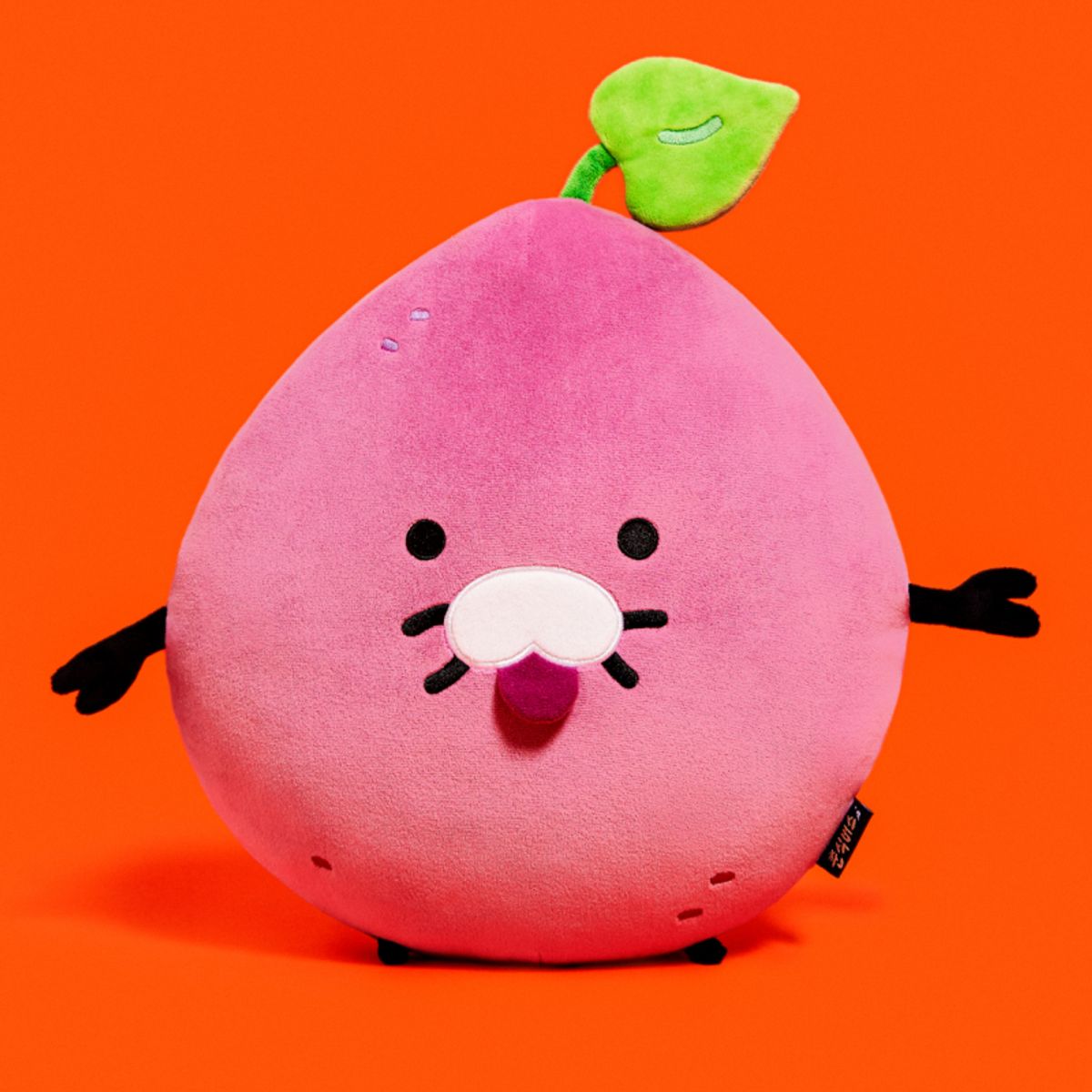 카카오프렌즈(KAKAO FRIENDS) 춘식버스 얼굴쿠션 메롱춘구마_춘식이