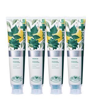 덴티스테 시트러스 후레쉬 치약 200g x 4개