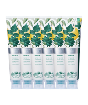 덴티스테 시트러스 후레쉬 치약 200g x 6개