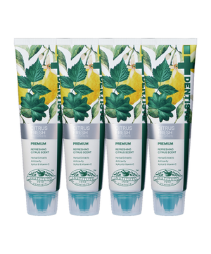 덴티스테 시트러스 후레쉬 치약 100g x 4개