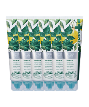 덴티스테 시트러스 후레쉬 치약 100g x 6개