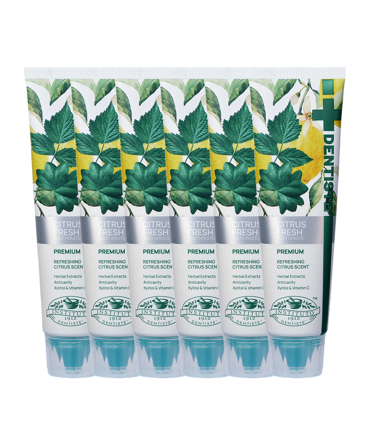 덴티스테(DENTISTE) 덴티스테 시트러스 후레쉬 치약 100g x 6개