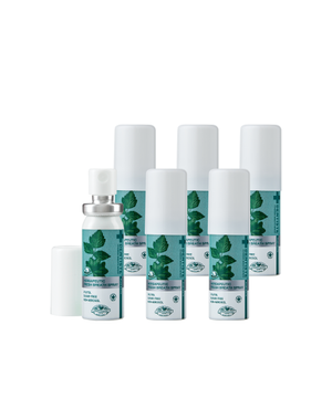 덴티스테 브레스 스프레이 15ml x 6개