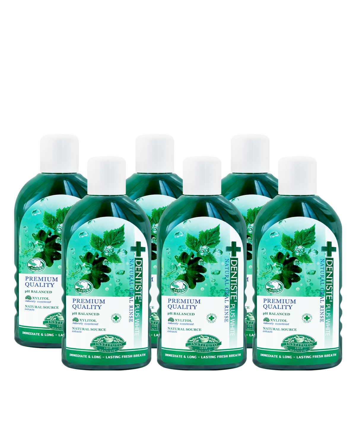 덴티스테(DENTISTE) 덴티스테 내츄럴 오랄린스 700ml x 6개