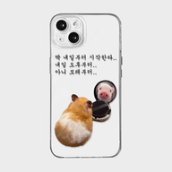 Thumbnail 0