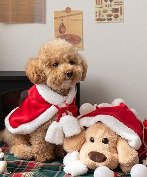 크리스마스 반려동물 망토 3size