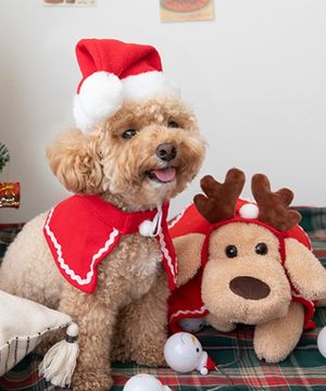 크리스마스 반려동물 바라클라바 모자 망토 세트 2type 3size