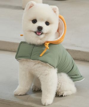 강아지 겨울옷 망토패딩 올리브그레이