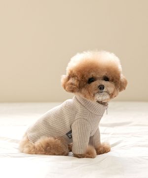 스너글 니트 집업 - 샌디베이지