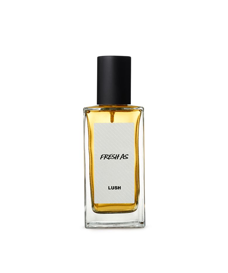 프레쉬 애즈 100ml - 퍼퓸/향수