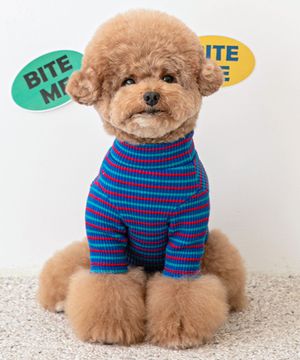 스트릿보이 스트라이프 티셔츠 - 블루