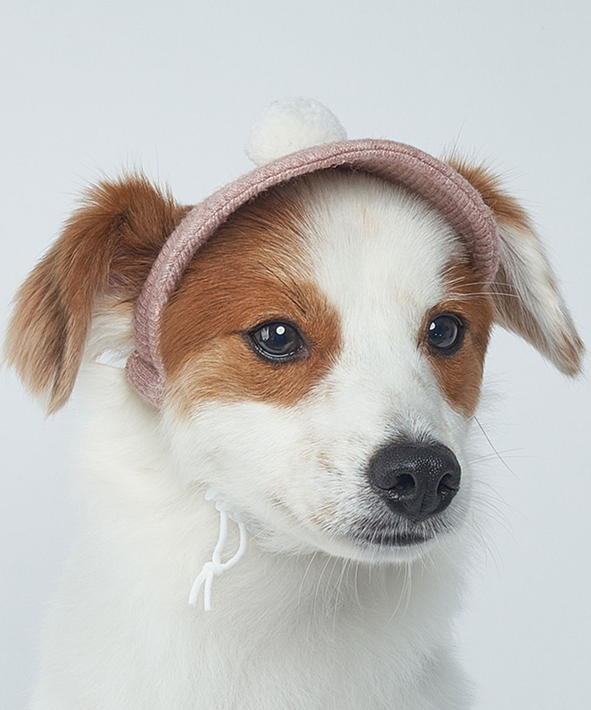 도그아이(DOGI) 강아지 폼폼이 니트모자 핑크